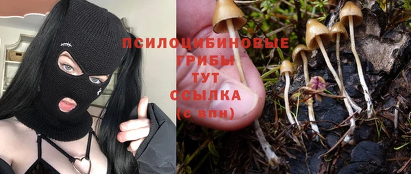 героин Алзамай