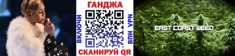 Бошки Шишки план  Инта 